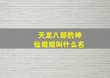 天龙八部的神仙姐姐叫什么名