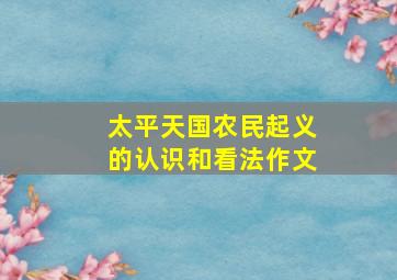 太平天国农民起义的认识和看法作文