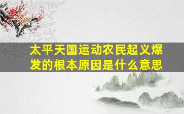 太平天国运动农民起义爆发的根本原因是什么意思