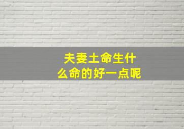 夫妻土命生什么命的好一点呢