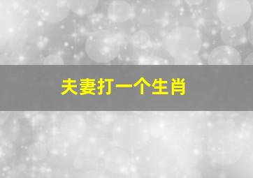 夫妻打一个生肖