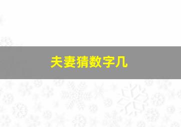 夫妻猜数字几