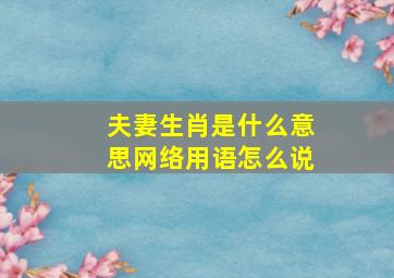 夫妻生肖是什么意思网络用语怎么说