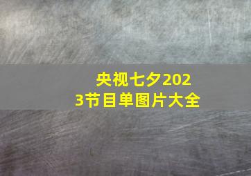 央视七夕2023节目单图片大全