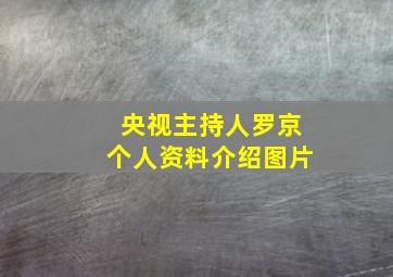 央视主持人罗京个人资料介绍图片