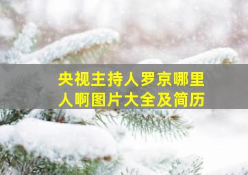 央视主持人罗京哪里人啊图片大全及简历