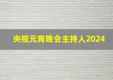 央视元宵晚会主持人2024