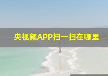 央视频APP扫一扫在哪里