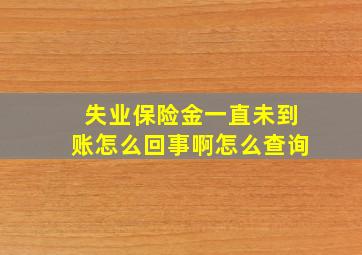 失业保险金一直未到账怎么回事啊怎么查询