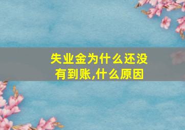 失业金为什么还没有到账,什么原因