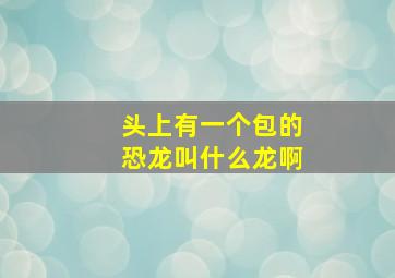 头上有一个包的恐龙叫什么龙啊