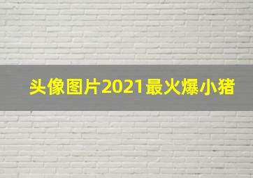 头像图片2021最火爆小猪