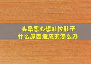 头晕恶心想吐拉肚子什么原因造成的怎么办