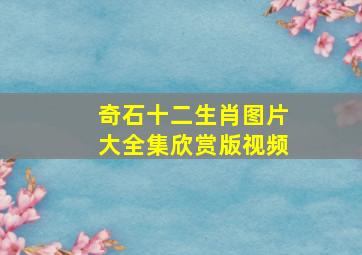 奇石十二生肖图片大全集欣赏版视频