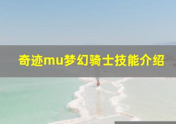 奇迹mu梦幻骑士技能介绍