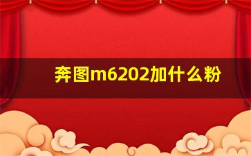 奔图m6202加什么粉