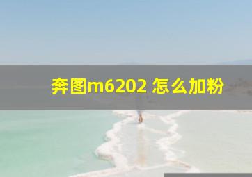 奔图m6202 怎么加粉