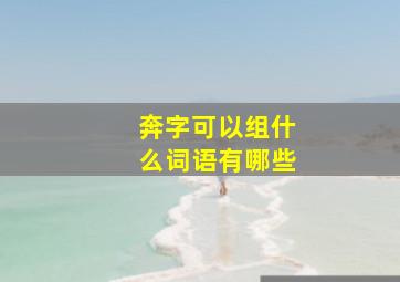 奔字可以组什么词语有哪些