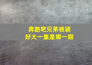 奔跑吧兄弟杨颖好大一集是哪一期