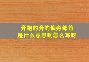 奔跑的奔的偏旁部首是什么意思啊怎么写呀