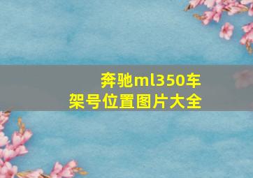 奔驰ml350车架号位置图片大全