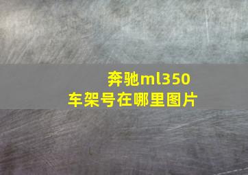 奔驰ml350车架号在哪里图片