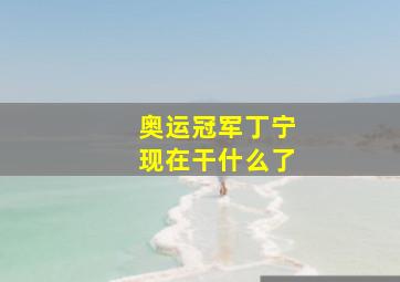 奥运冠军丁宁现在干什么了