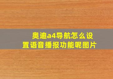 奥迪a4导航怎么设置语音播报功能呢图片