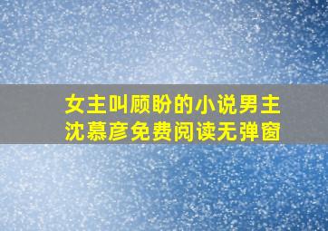 女主叫顾盼的小说男主沈慕彦免费阅读无弹窗