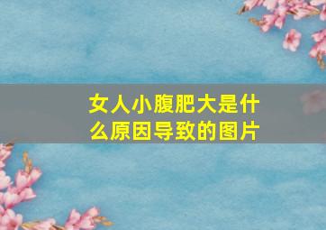 女人小腹肥大是什么原因导致的图片