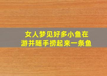 女人梦见好多小鱼在游并随手捞起来一条鱼