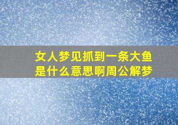 女人梦见抓到一条大鱼是什么意思啊周公解梦