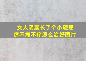 女人阴囊长了个小硬疙瘩不痛不痒怎么治好图片