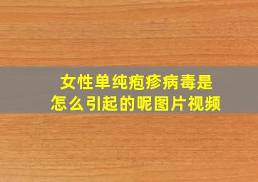 女性单纯疱疹病毒是怎么引起的呢图片视频