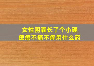 女性阴囊长了个小硬疙瘩不痛不痒用什么药