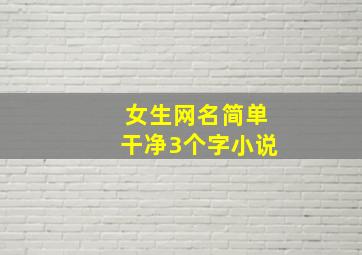 女生网名简单干净3个字小说