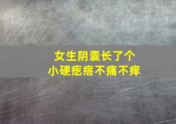 女生阴囊长了个小硬疙瘩不痛不痒