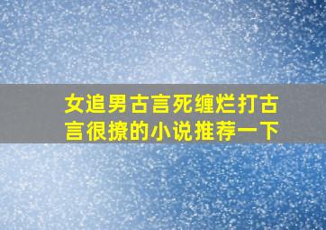 女追男古言死缠烂打古言很撩的小说推荐一下