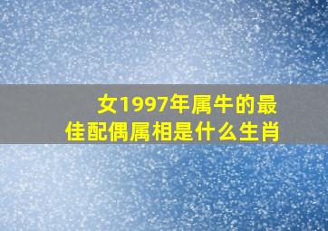 女1997年属牛的最佳配偶属相是什么生肖