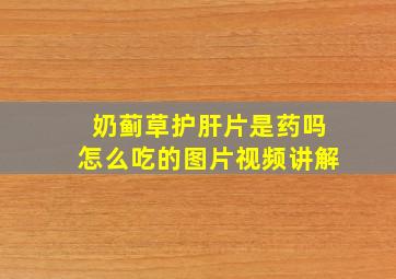 奶蓟草护肝片是药吗怎么吃的图片视频讲解