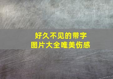 好久不见的带字图片大全唯美伤感