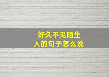 好久不见陌生人的句子怎么说