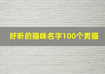 好听的猫咪名字100个男猫