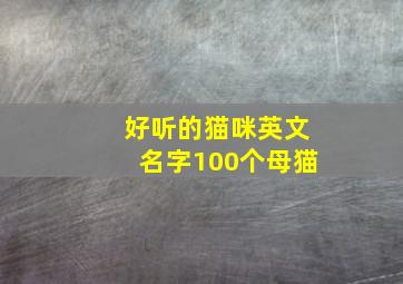 好听的猫咪英文名字100个母猫