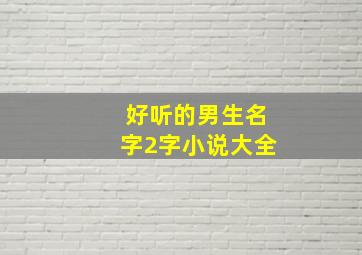 好听的男生名字2字小说大全