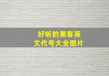 好听的黑客英文代号大全图片