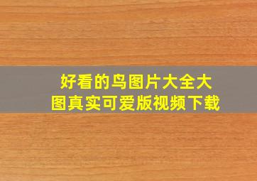 好看的鸟图片大全大图真实可爱版视频下载