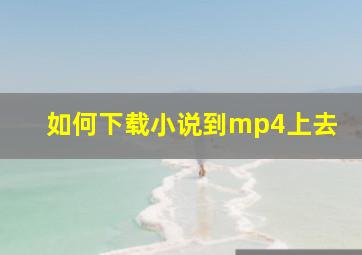 如何下载小说到mp4上去