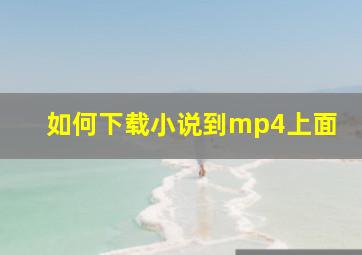 如何下载小说到mp4上面