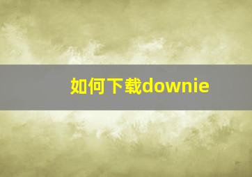 如何下载downie